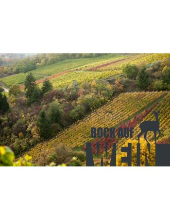 Indian Summer 24.10.2026