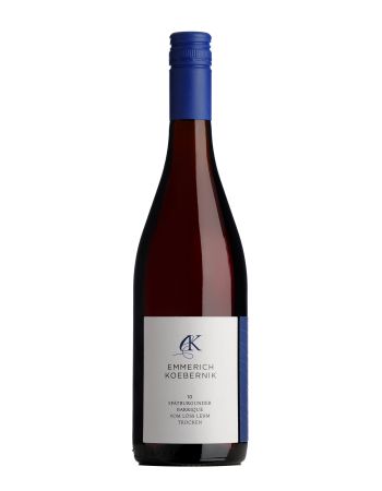 Spätburgunder vom Löss Lehm Rotwein